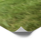 Ehrenwache-Team der Luftwaffe Poster (Ecke)