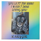 Ehrerbietung für Ihren geliebten Haustier: Gedenks Fliese (Vorderseite)