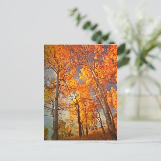 Ehrgeiz gegenüber Ruhm Postkarte (Stehend Vorderseite)