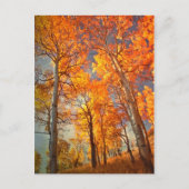 Ehrgeiz gegenüber Ruhm Postkarte (Vorderseite)