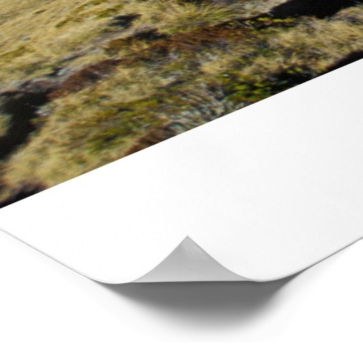 Ehrgeiz Poster (Ecke)