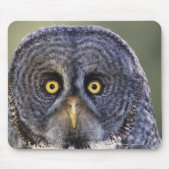 Ei 3 mousepad (Vorne)