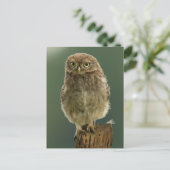 Ei auf Stumpf Postkarte (Stehend Vorderseite)