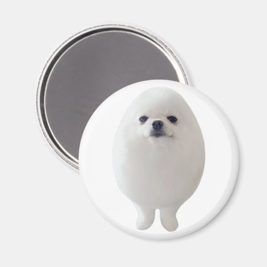 Ei Dog Magnet (Vorderseite/Rückseite)