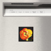 Eibbe Magnet (In Situ (Geschirrspüler))