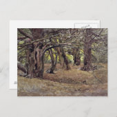 Eiben im alten Eiben-Holz Postkarte (Vorne/Hinten)