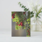 Eibenbeeren Postkarte (Stehend Vorderseite)