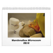 Eibisch-Microkosmos 2012 Kalender (Titelbild)