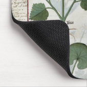 Eibisch u. Hastula Regia Asarabacca u. Mousepad (Ecke)