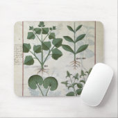 Eibisch u. Hastula Regia Asarabacca u. Mousepad (Mit Mouse)