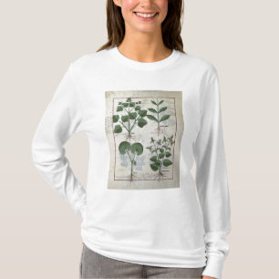 Eibisch u. Hastula Regia Asarabacca u. T-Shirt