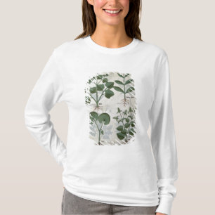 Eibisch u. Hastula Regia Asarabacca u. T-Shirt