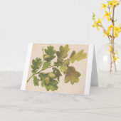 Eiche 1907 karte (Gelbe Blume)