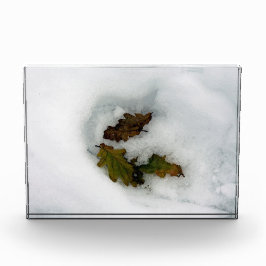 Eiche-Blätter im Leinwand der Schnee-Urlaubskarte Fotoblock