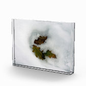 Eiche-Blätter im Leinwand der Schnee-Urlaubskarte Fotoblock (Rechts)