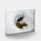 Eiche-Blätter im Leinwand der Schnee-Urlaubskarte Fotoblock (Links)