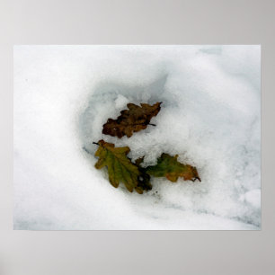 Eiche-Blätter im Leinwand der Schnee-Urlaubskarte Poster