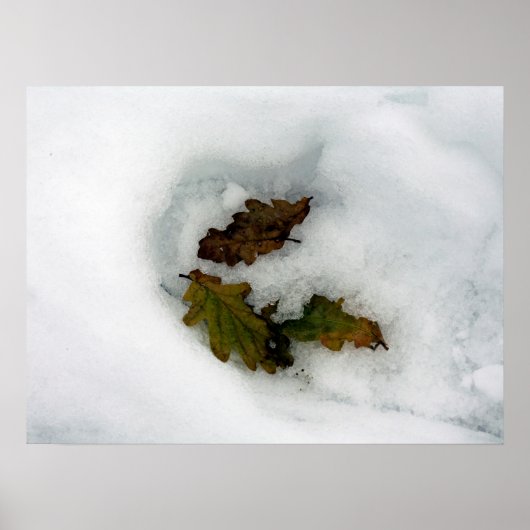 Eiche-Blätter im Leinwand der Schnee-Urlaubskarte Poster (Vorne)