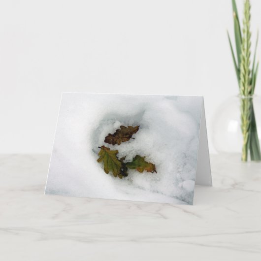 Eiche Blätter im Schnee Feiertagskarte (Vorderseite)
