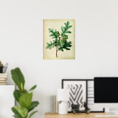 Eiche Blätter Nr.5 Bauernhaus Wanddekor Poster (Heimbüro)