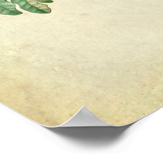 Eiche Blätter Nr.5 Bauernhaus Wanddekor Poster (Ecke)