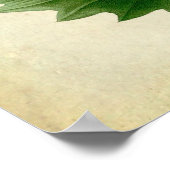 Eiche Blätter Nr.8 Hauswärmespeicher Poster (Ecke)