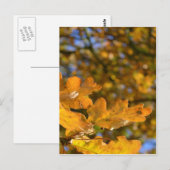 Eiche Blätter Postkarte (Vorne/Hinten)