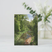 Eiche Creek 1 Postkarte (Stehend Vorderseite)