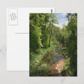 Eiche Creek 1 Postkarte (Vorne/Hinten)