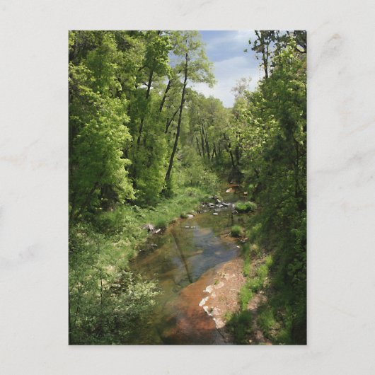 Eiche Creek 1 Postkarte (Vorderseite)