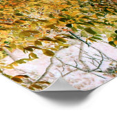 Eiche im Herbst... Poster (Ecke)