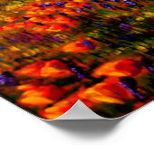 Eiche in den Mohnfeldern Poster (Ecke)