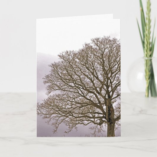 Eiche in Winter 1 Feiertagskarte (Vorderseite)