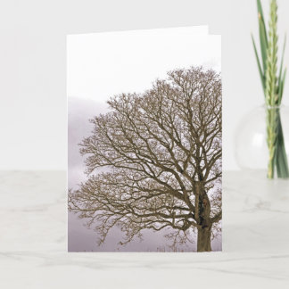 Eiche in Winter 1 Feiertagskarte
