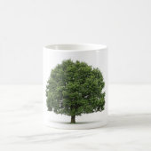 Eiche Kaffeetasse (Mittel)