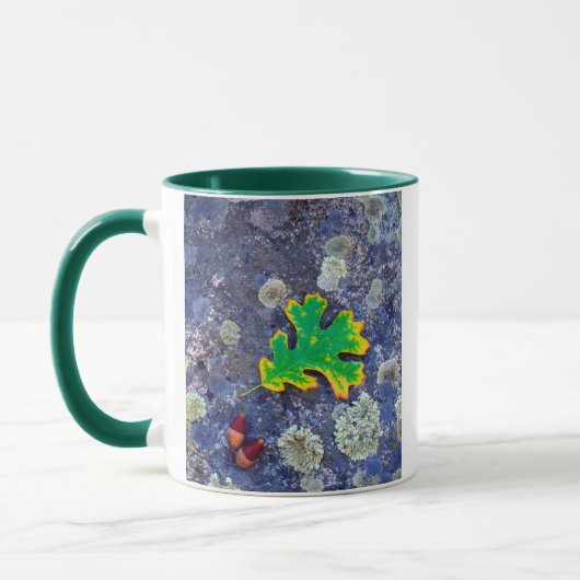 Eiche Leaf und Acorns auf einem von Lichen bedeckt Tasse (Links)