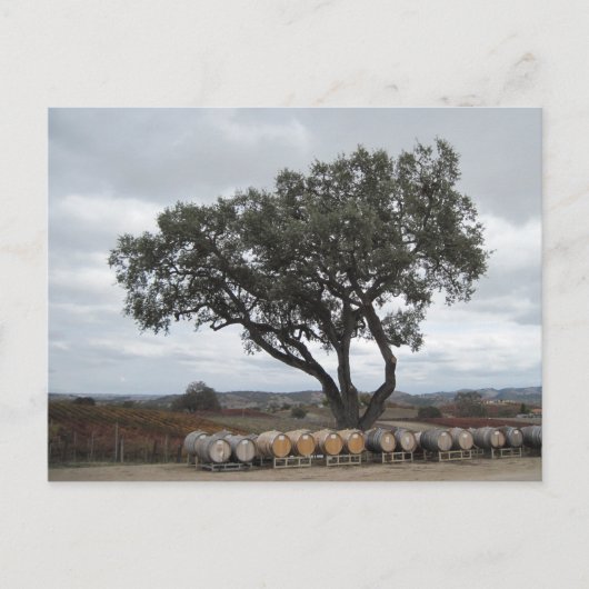 Eiche mit Weinfässern, Doce Robles Postkarte (Vorderseite)