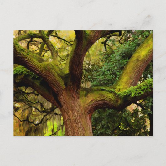 Eiche Postkarte (Vorderseite)