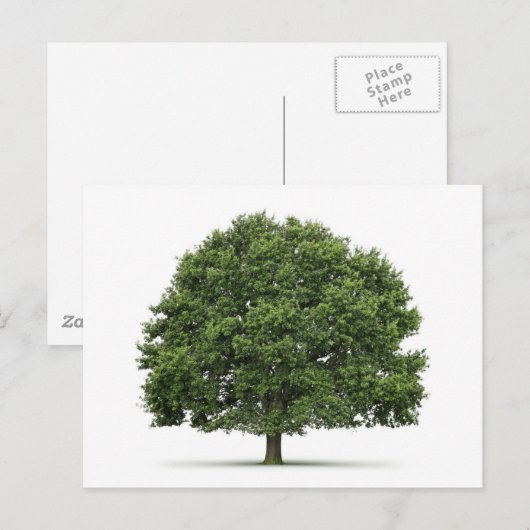 Eiche Postkarte (Vorne/Hinten)