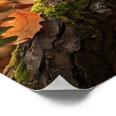 Eichel Eichhörnchen Herbsthain Poster (Ecke)