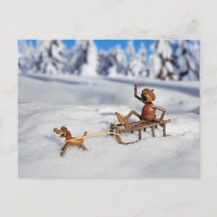 Eichel-Elf Schlittenfahren mit Hund Postkarte