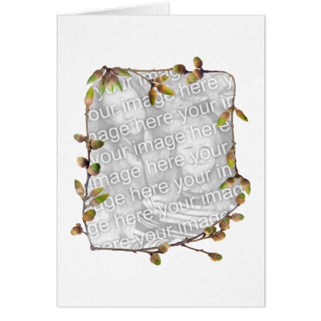 Eichel-Foto-Karte (Vorne)