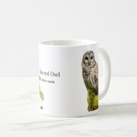 Eichel Kaffeetasse (VorderseiteRechts)