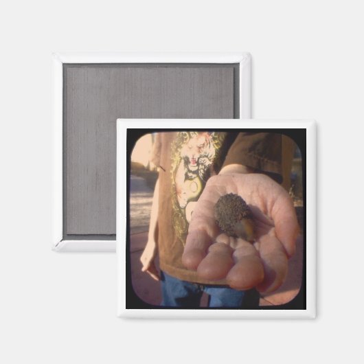 Eichel? Magnet (Vorderseite/Rückseite)