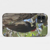 Eichel-Specht iPhone Fall Case-Mate iPhone Hülle (Rückseite (Horizontal))