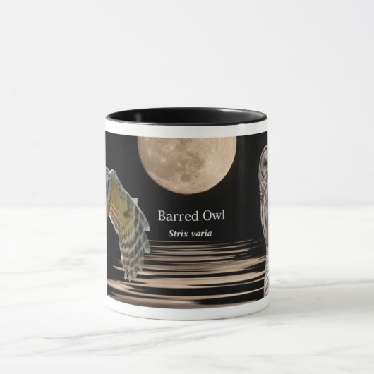 Eichel Tasse (Zentrum)