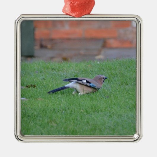 Eichelhäher Silbernes Ornament (Vorne)