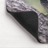 Eichelspecht-Mauspad | Waldvogel-Kunst Mousepad (Ecke)