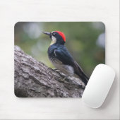 Eichelspecht-Mauspad | Waldvogel-Kunst Mousepad (Mit Mouse)