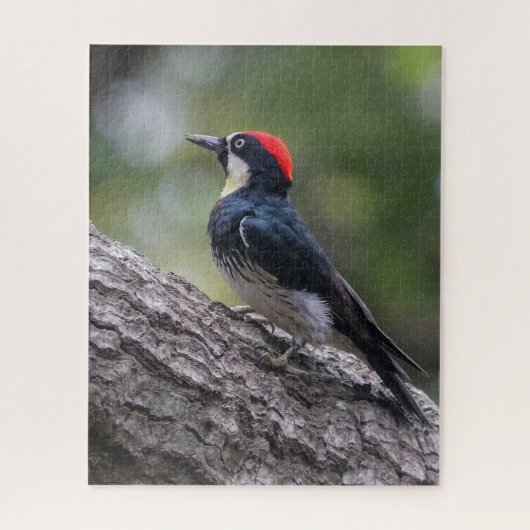 Eichelspecht-Puzzle | Waldvogel-Kunst Puzzle (Vertikal)